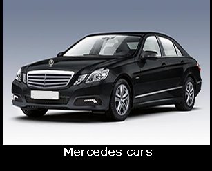 Fiumicino Airport shuttle Rome guided tours private taxi service driver available