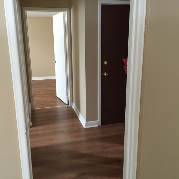 One bedroom apartment for rent