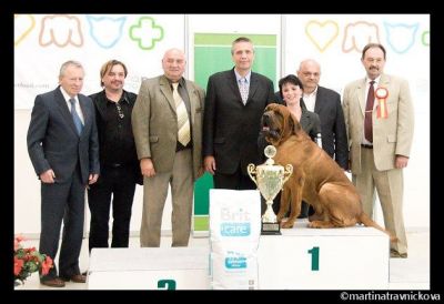 TOSA INU kennel BIRENGO accepts records for puppies