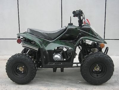 New 110cc Mini ATV , Ready to ride.