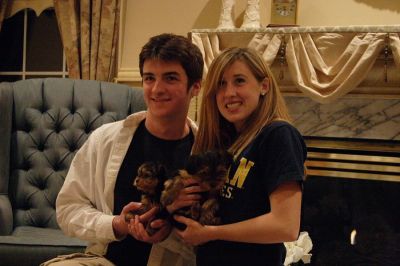 Must Go Home  $95 Male $95  Female Yorkie Puppies For Adoption