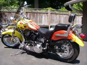 2001 Indian Scout Centenial Edition Bike