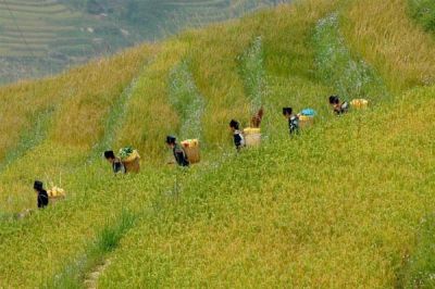 Northwest Motorcycle and Ha Long Bay Tour 13days