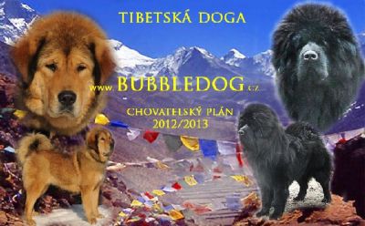 Tibetan Mastiff, Do-Khyi