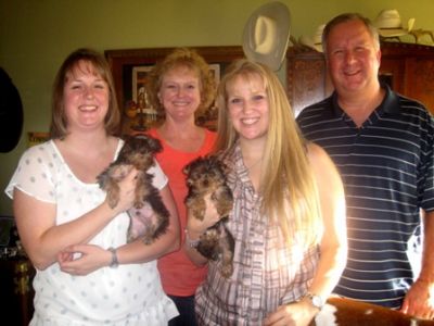 WOW!!!!X-MAS yorkie babies now available