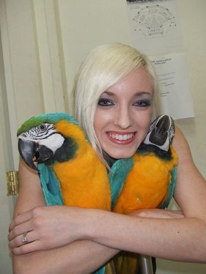 FREE ADORABLE MACAW COUPLE FOR RE-HOMING