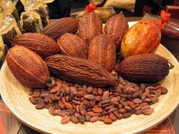 Mature Dried Flaour High Quality Cocoa Bean for Sale