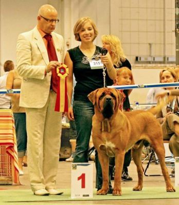 TOSA INU kennel BIRENGO accepts records for puppies