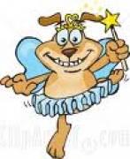 'EXPRESSIONS' Dance School Montreal