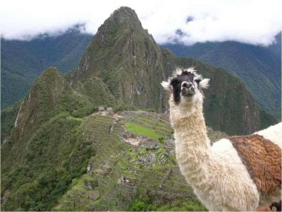 Conversational SPANISH Lessons