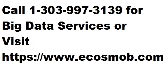 Big data services by professional engineers