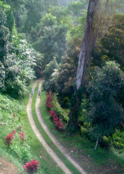 For Sale - Paragrand Estates, Trinidad       $ 2,000,000 USD