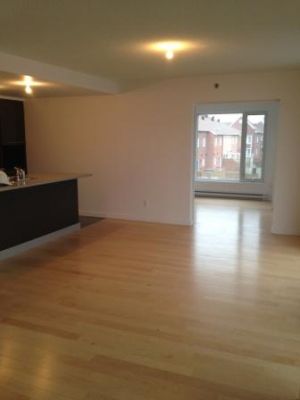 NEW CONDO - 3-BDRS + ALCOVE - 1,500 SQ FT*HARDWOOD*A/C*W/D OUTLETS*INDOOR PARKING 