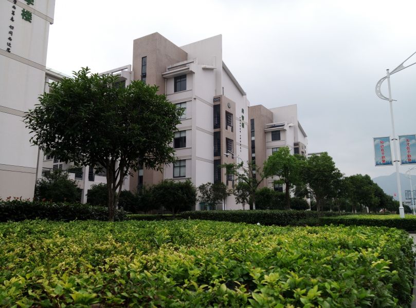 China - ESL Teachers Native and Non Native with degree from Native Countries