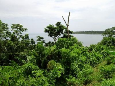 Bocas del Torro Panama 18 Acres waterfront Titled land For Sale