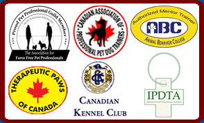 The Dog Nanny's Canine Training Academy