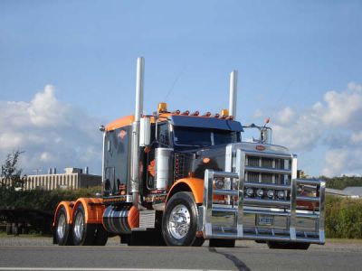 Moose Bumpers by HERD / Ali Arc