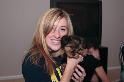 Must Go Home  $95 Male $95  Female Yorkie Puppies For Adoption