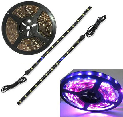 Wholesale Car LED bulb, LED car bulbs, Car LED lights, LED car light, LED car lamp