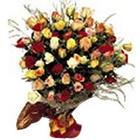 Warm bright wishes for Hungary