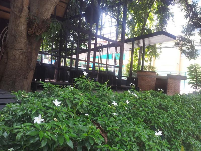 Thailand Pattaya Wongamat Restaurant Take Over