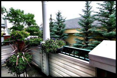 Richmond Hill Condo for Sale: 209 10 Sierra Morena ME SW