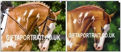 Handmade Painting Portrait (ikash2)