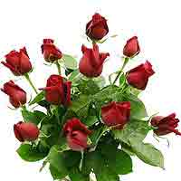 You have a floral blitz for your treasured eves