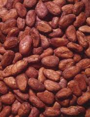 Mature Dried Flaour High Quality Cocoa Bean for Sale