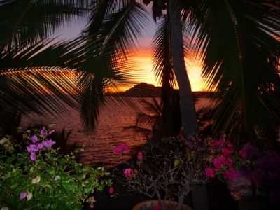 Live Work and Play ina tropical Mexican Paradise