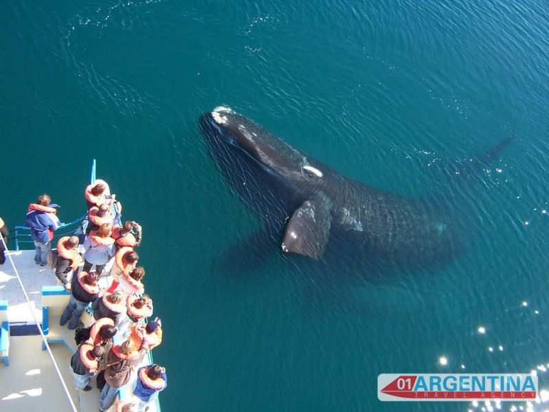 Packages Vacations Tours and Travels in Argentina and Uruguay