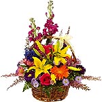 Flowers to script your compassions for your acquaintances