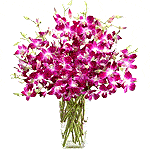 Floal garnishing reaches Pune now