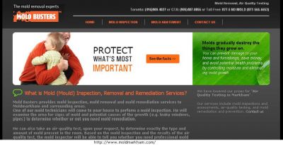 Mold removal in Markham