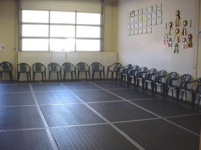 Puppy and Adult Dog Training Classes