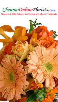 Shower your evergreen concerns on your loved ones