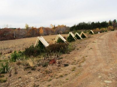 Grand Lake Waterfront Property